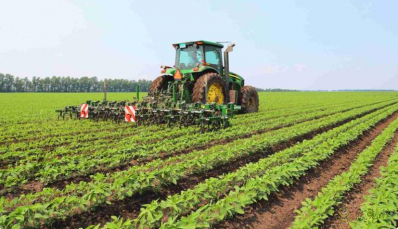 正在進行有機大豆田間除草作業(yè)的智能除草機器人