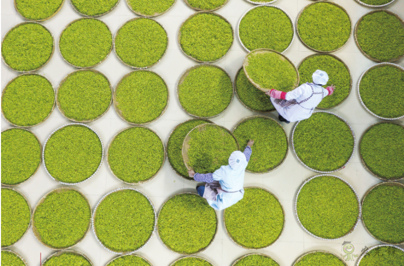 《鄉(xiāng)村振興戰(zhàn)略規(guī)劃實施報告(2020年)》出版發(fā)布