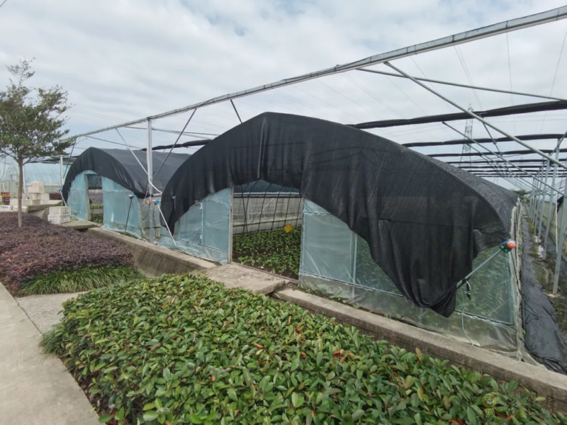 青浦：發(fā)展節(jié)水灌溉，推動農(nóng)業(yè)提質(zhì)增效