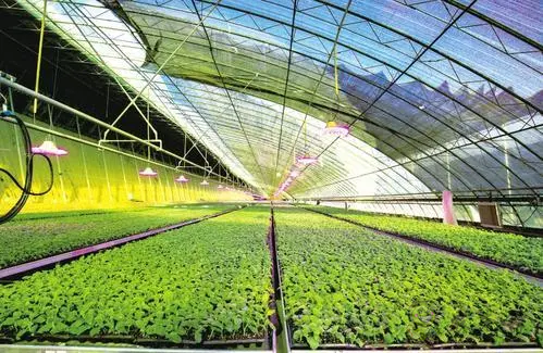 【重磅研究】中國(guó)數(shù)字農(nóng)業(yè)的發(fā)展概況