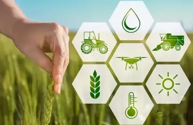 智慧農業(yè)前景廣闊 15所高校設立“智慧農業(yè)”專業(yè)