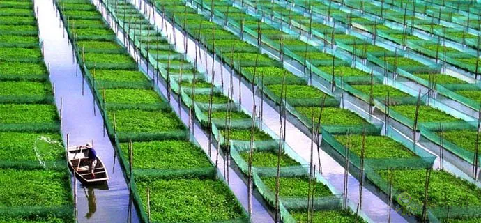 淘寶大學(xué)：為什么說農(nóng)村電商的未來是分享農(nóng)業(yè)