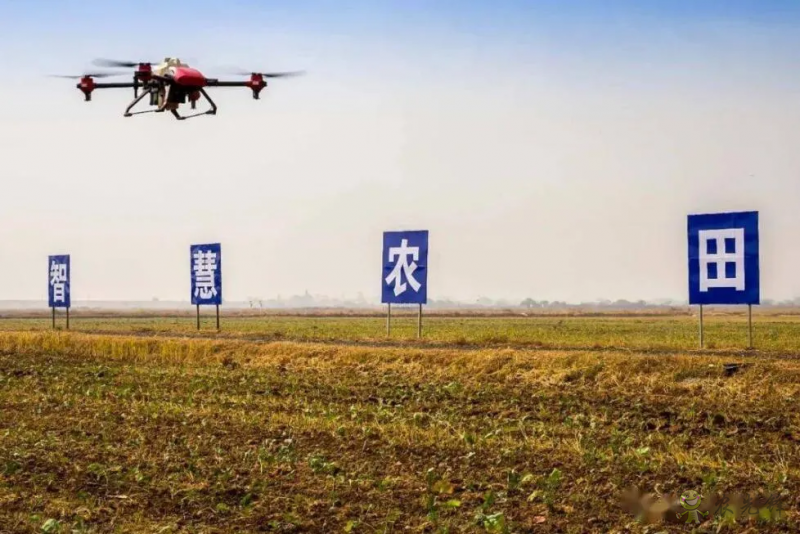 農(nóng)業(yè)農(nóng)村部:全力推進(jìn)高標(biāo)準(zhǔn)農(nóng)田建設(shè),實(shí)施智慧農(nóng)業(yè)