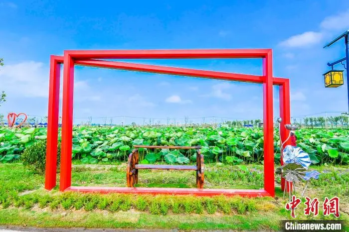 肥西:以“荷”為媒 打造鄉(xiāng)村生態(tài)旅游產(chǎn)業(yè)