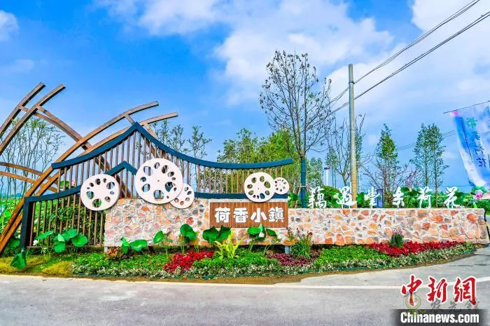 肥西:以“荷”為媒 打造鄉(xiāng)村生態(tài)旅游產(chǎn)業(yè)