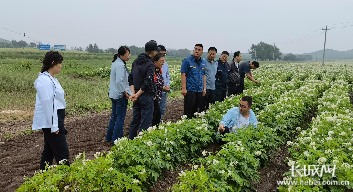 河北:打造壩上地區(qū)農(nóng)業(yè)高效節(jié)水新模式