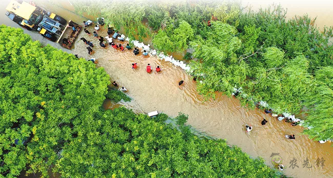 【觀點】建好農(nóng)村應(yīng)急防御機制,才能與極端天氣短兵相接