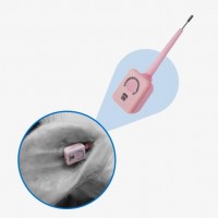 電子醫(yī)生 豬的私人醫(yī)生，24小時不間斷關愛