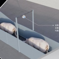 大天眼 智能售豬，輕松又省心