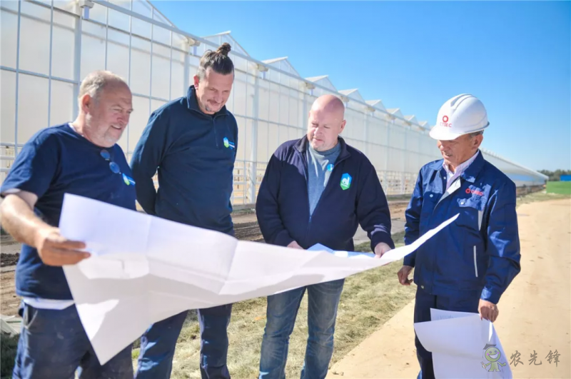 亞洲最大單體棚:如何收益翻了幾十倍