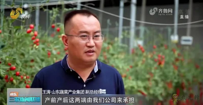 “壽光標(biāo)準(zhǔn)”向全國輸出 推動(dòng)蔬菜產(chǎn)業(yè)提檔升級(jí)
