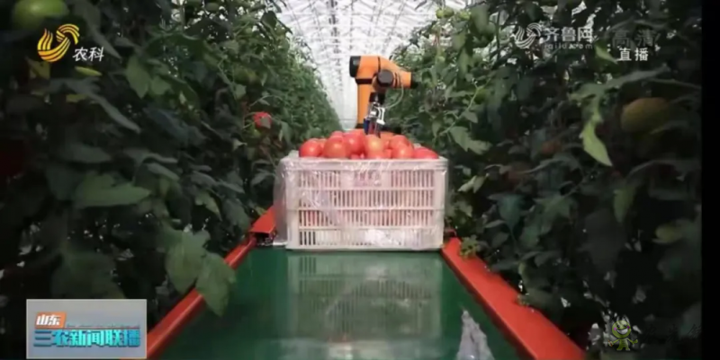 “壽光標(biāo)準(zhǔn)”向全國輸出 推動(dòng)蔬菜產(chǎn)業(yè)提檔升級(jí)