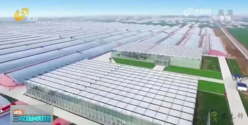 “壽光標(biāo)準(zhǔn)”向全國輸出 推動(dòng)蔬菜產(chǎn)業(yè)提檔升級(jí)