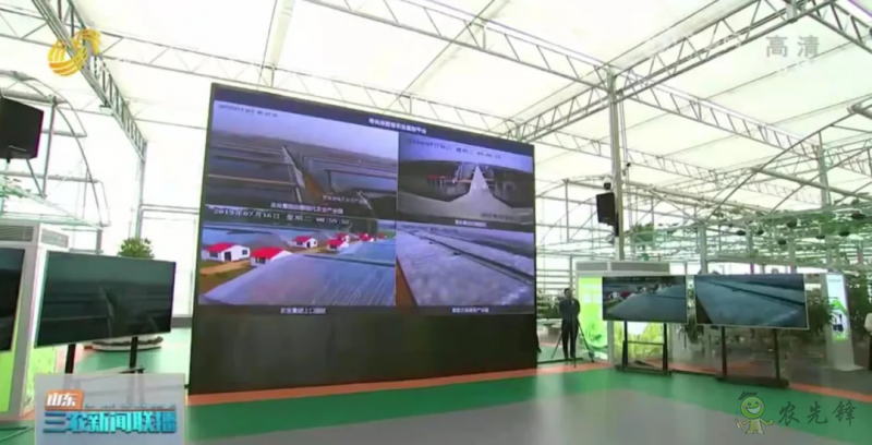 “壽光標(biāo)準(zhǔn)”向全國輸出 推動(dòng)蔬菜產(chǎn)業(yè)提檔升級(jí)