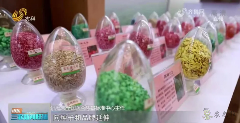 “壽光標(biāo)準(zhǔn)”向全國輸出 推動(dòng)蔬菜產(chǎn)業(yè)提檔升級(jí)