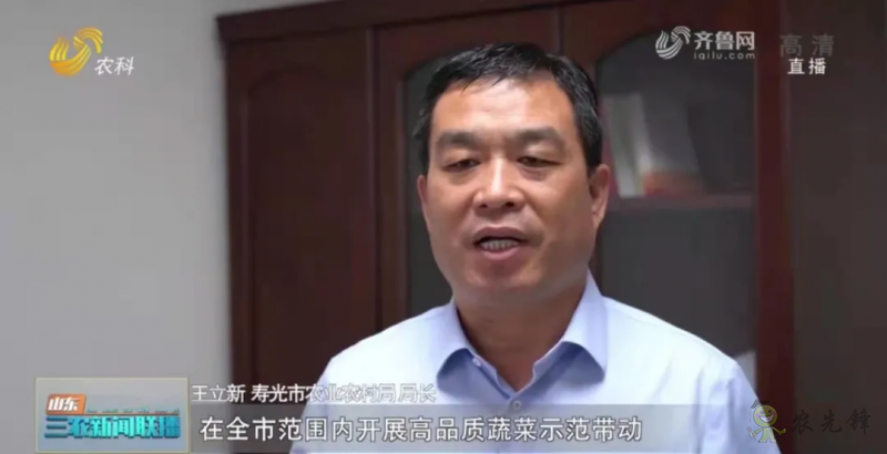 “壽光標(biāo)準(zhǔn)”向全國輸出 推動(dòng)蔬菜產(chǎn)業(yè)提檔升級(jí)