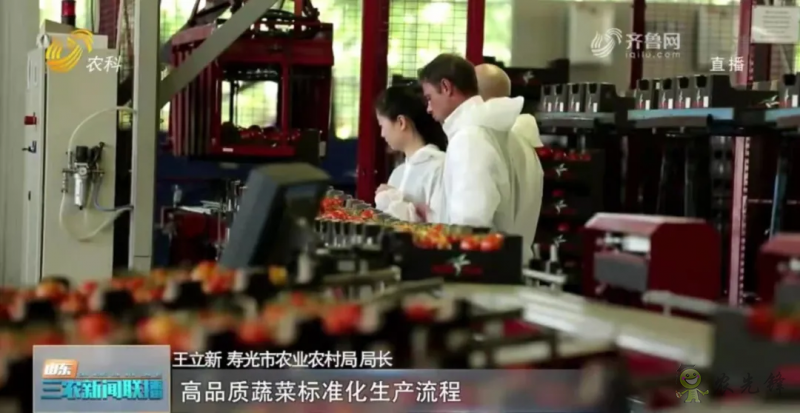 “壽光標(biāo)準(zhǔn)”向全國輸出 推動(dòng)蔬菜產(chǎn)業(yè)提檔升級(jí)
