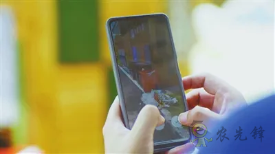 井岡山古田村:積極探索數(shù)字鄉(xiāng)村建設(shè) 實現(xiàn)數(shù)字惠農(nóng) 智慧興村