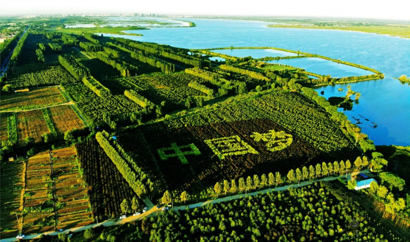 衡水市:全域推進高效節(jié)水農業(yè)