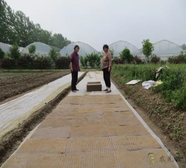 2021年農(nóng)業(yè)農(nóng)村部重大引領(lǐng)性技術(shù)發(fā)布!