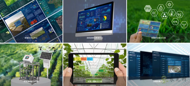 中國數(shù)字經(jīng)濟規(guī)模全球第二,“農(nóng)業(yè)數(shù)字革命”正在到來