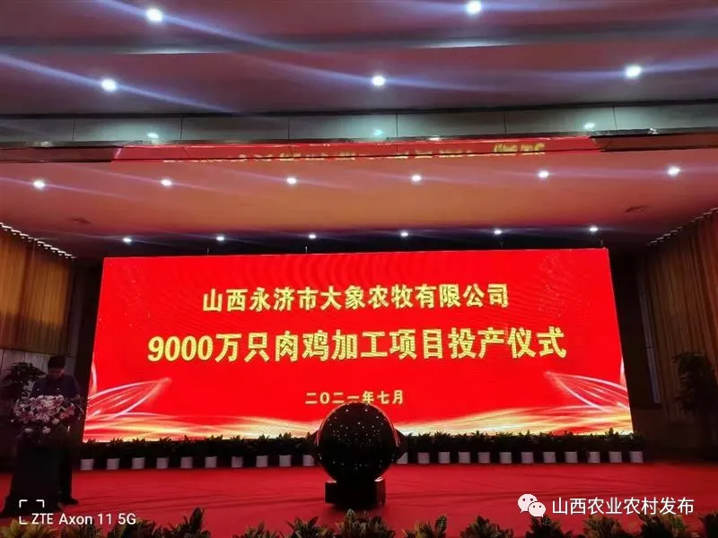 山西:“五好”畜牧領(lǐng)跑農(nóng)業(yè)高質(zhì)量發(fā)展