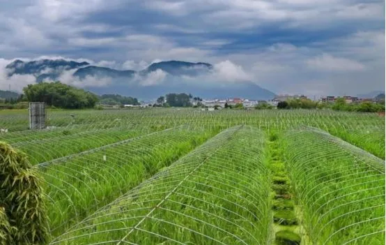 【政策】中央財政支持17個省份試點綠色種養(yǎng)循環(huán)農(nóng)業(yè)（附通知）