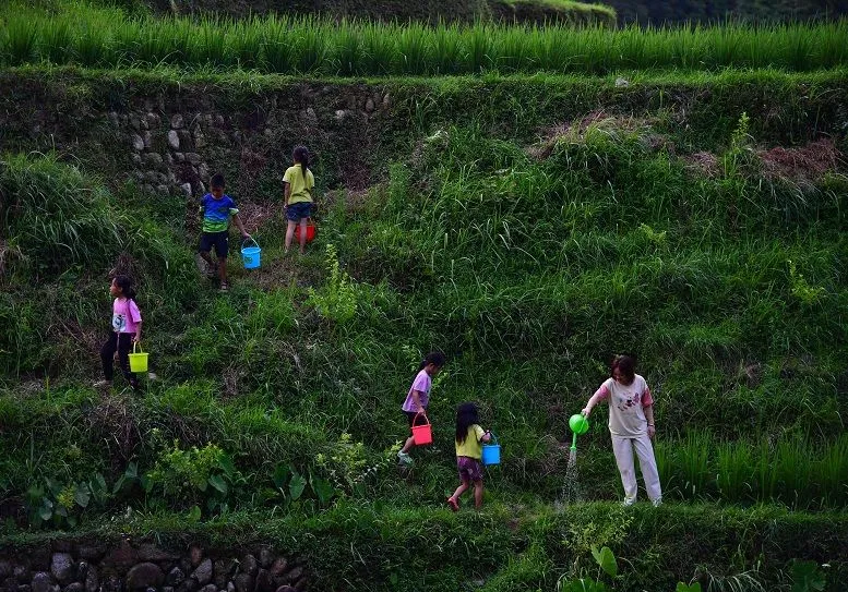 賀雪峰：未來(lái) 15 年， 鄉(xiāng)村振興關(guān)鍵在保底