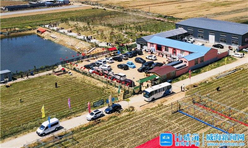 威海全面推進鄉(xiāng)村振興 重點發(fā)展20個農(nóng)業(yè)優(yōu)勢產(chǎn)業(yè)