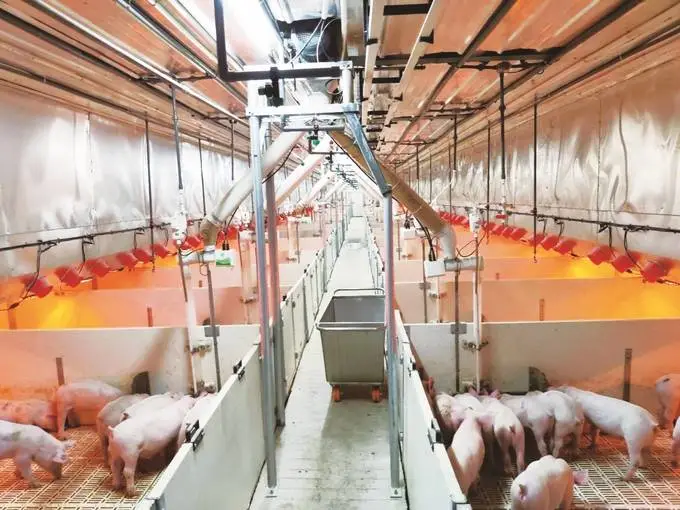 江蘇描繪現(xiàn)代畜牧業(yè)高質(zhì)量發(fā)展的&ldquo;現(xiàn)實(shí)模樣&rdquo;