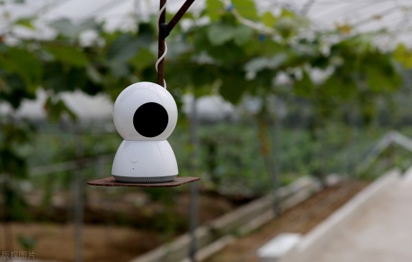 8大農(nóng)業(yè)產(chǎn)業(yè)崛起,未來或?qū)⒊蔀橥顿Y重點(diǎn)