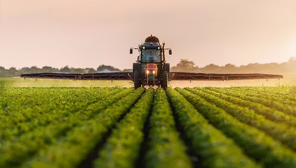 中國未來農業(yè)發(fā)展前景分析:五大趨勢蘊含無限潛力