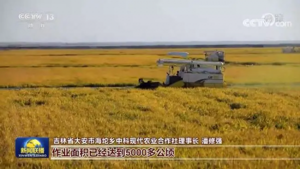 我國(guó)秋糧大面積開(kāi)鐮 農(nóng)業(yè)科技現(xiàn)代化加快推進(jìn)
