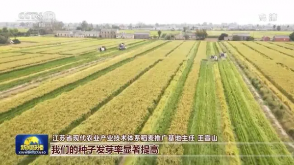 我國(guó)秋糧大面積開(kāi)鐮 農(nóng)業(yè)科技現(xiàn)代化加快推進(jìn)