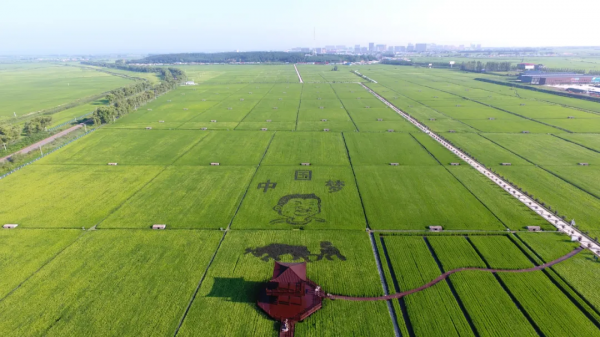 趙春江院士:解決農村勞動力短缺,北京可發(fā)展無人化農場