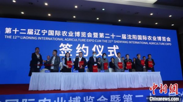 遼寧沈陽國際農(nóng)業(yè)博覽會(huì)開幕現(xiàn)場簽約額超200億元