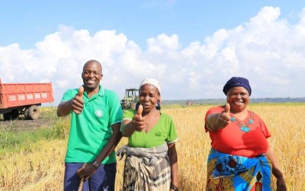 “中國農(nóng)技”“中國農(nóng)機”“中國農(nóng)場”助力非洲農(nóng)業(yè)發(fā)展