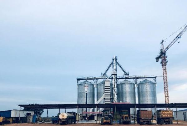 “中國農(nóng)技”“中國農(nóng)機”“中國農(nóng)場”助力非洲農(nóng)業(yè)發(fā)展