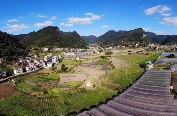 習(xí)水這五年:現(xiàn)代農(nóng)業(yè)助推鄉(xiāng)村振興