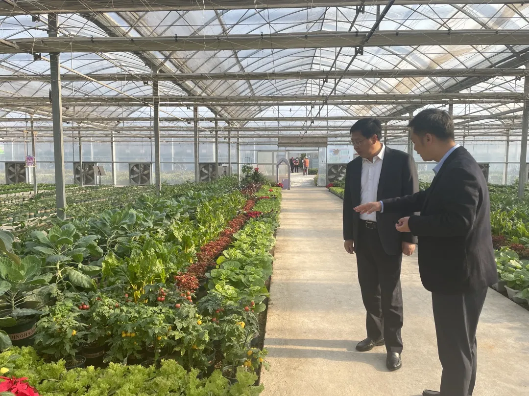 第五屆中國·江蘇蔬菜種業(yè)博覽會開幕 1511個品種集體亮相