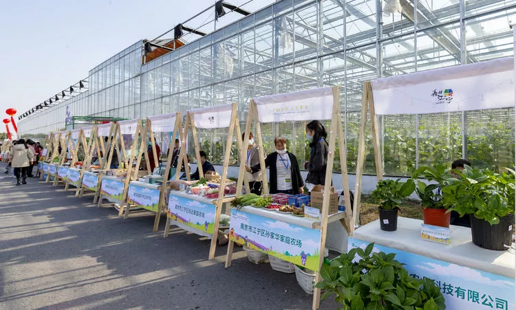 第五屆中國·江蘇蔬菜種業(yè)博覽會開幕 1511個品種集體亮相