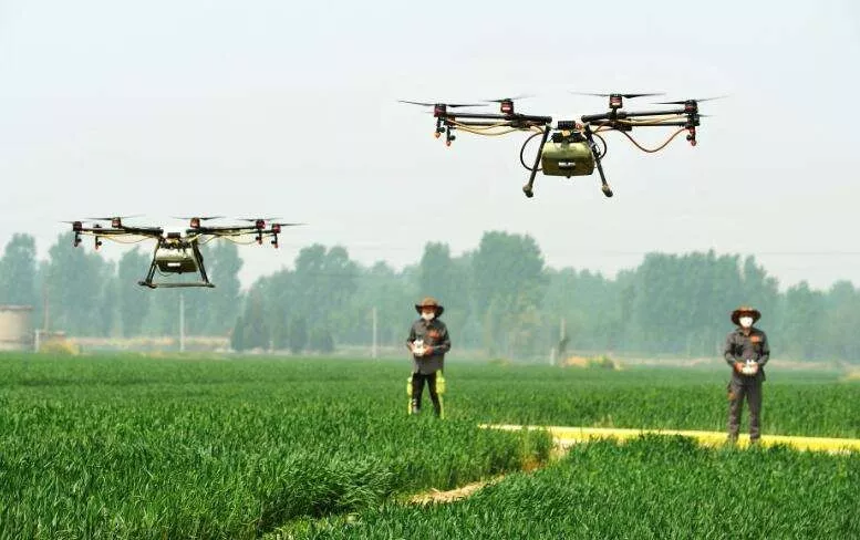 中國農(nóng)業(yè)的智慧升級路:未來小農(nóng)戶將成高收入群體