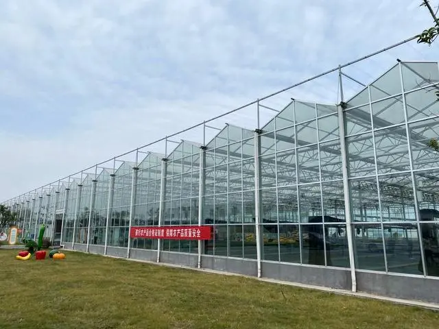 江蘇：全省&ldquo;一張網(wǎng)&rdquo;，兜牢農(nóng)產(chǎn)品質(zhì)量