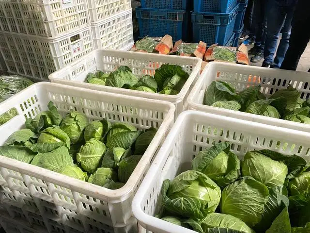 江蘇：全省&ldquo;一張網(wǎng)&rdquo;，兜牢農(nóng)產(chǎn)品質(zhì)量