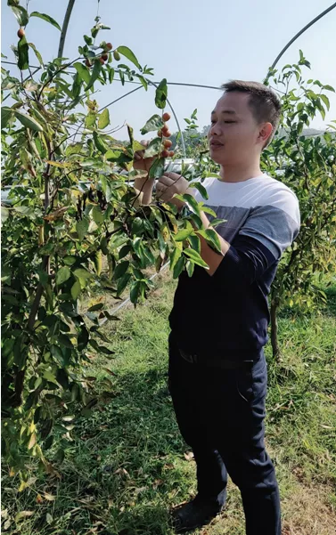 寧鄉(xiāng)：新型職業(yè)農(nóng)民成為令人羨慕的&ldquo;綠領(lǐng)&rdquo;