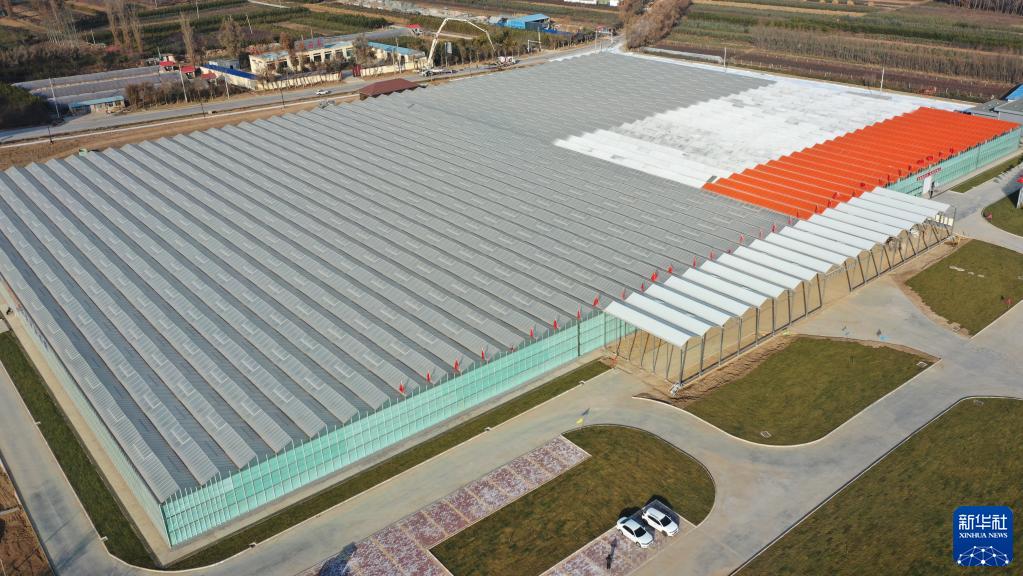 新華社發(fā)（史有東 攝）