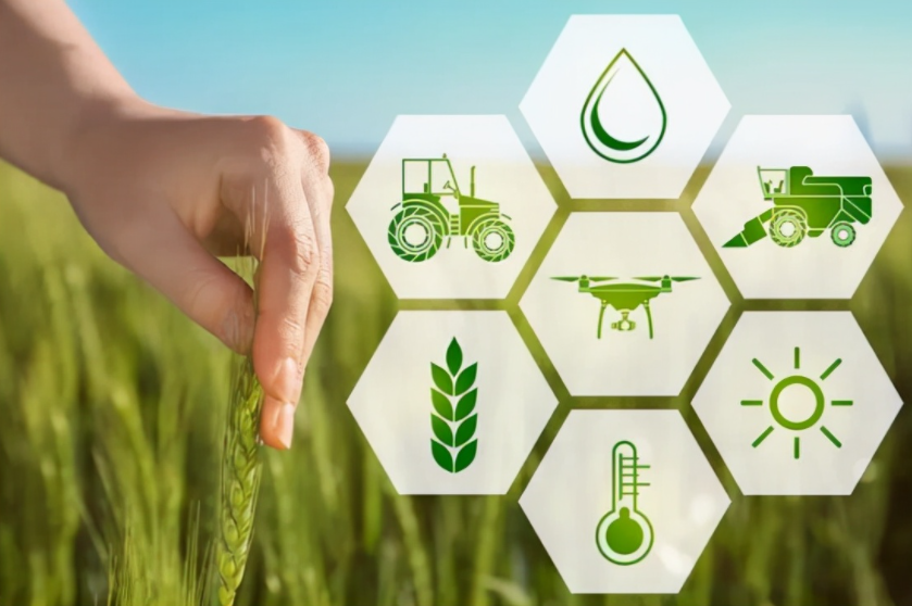 振興鄉(xiāng)村:大力發(fā)展智慧農(nóng)業(yè),智慧農(nóng)業(yè)迎來(lái)春天