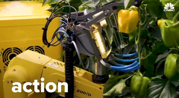 Sweeper甜椒采收機(jī)器人