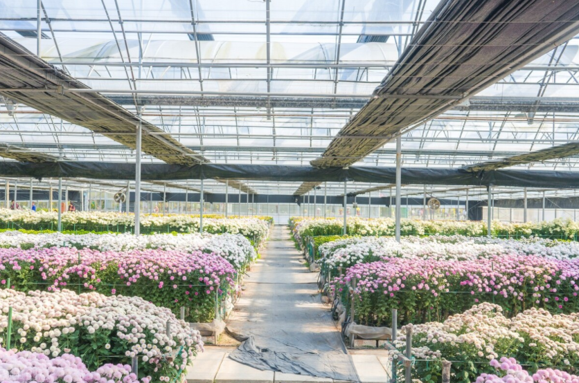 智慧農(nóng)業(yè)未來(lái):物聯(lián)網(wǎng)+農(nóng)業(yè):連接性如何改變農(nóng)業(yè)