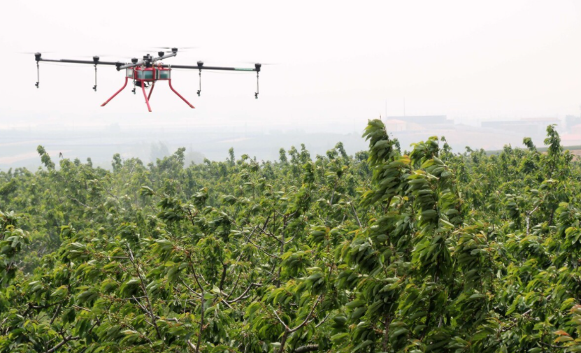 無人飛機在果園植保中的技術(shù)路線越來越成熟